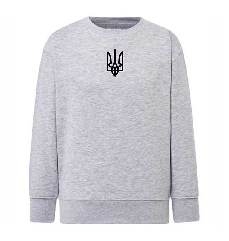 Trident black embroidered sweatshirt (sweater) for boys, gray, 92/98cm