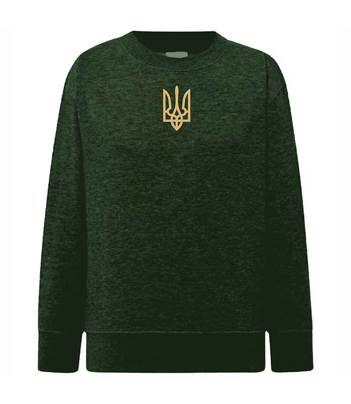 Trident embroidered sweatshirt (sweater) for boys, khaki, 92/98cm