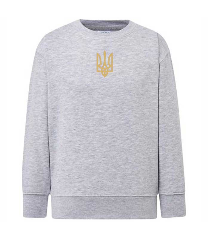 Trident embroidered sweatshirt (sweater) for boys, gray, 92/98cm