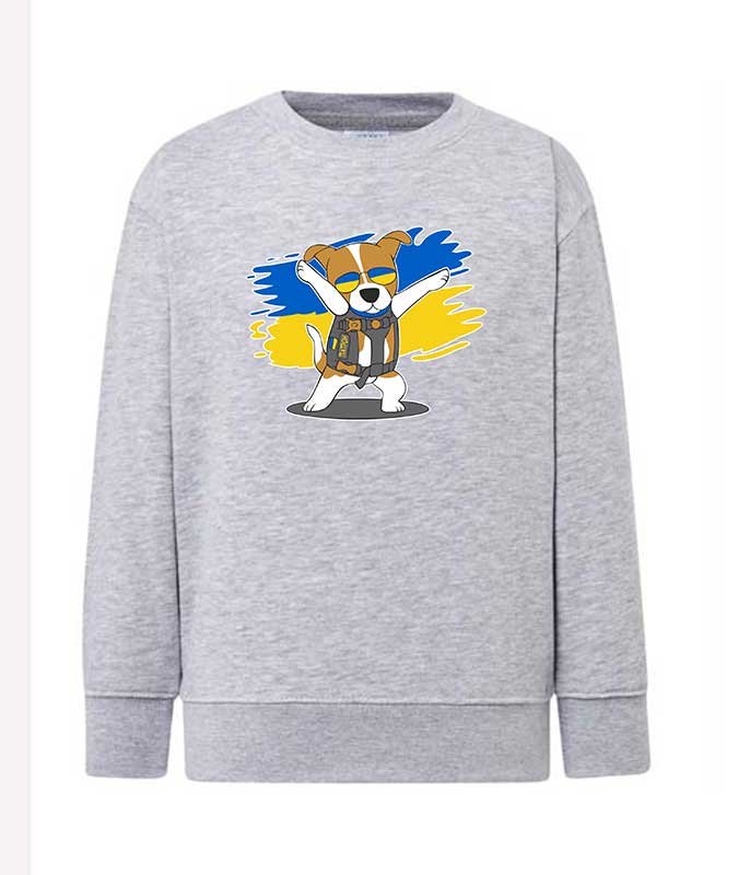 Patron dog sweatshirt (sweater) for boys, gray, 92/98cm