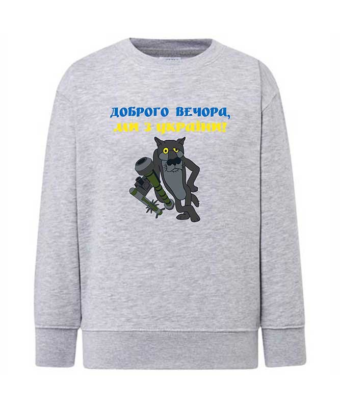 Sweatshirt (sweater) for boys Good evening, we are from Ukraine, gray, 92/98cm