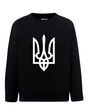 Sweatshirt (sweater) for boys Trident, black